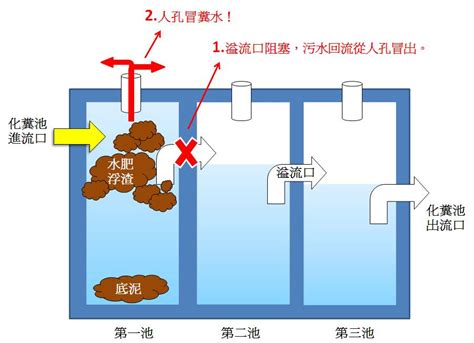 公寓化糞池結構